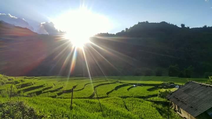Nguyen Dang Guesthouse ซาปา ภายนอก รูปภาพ